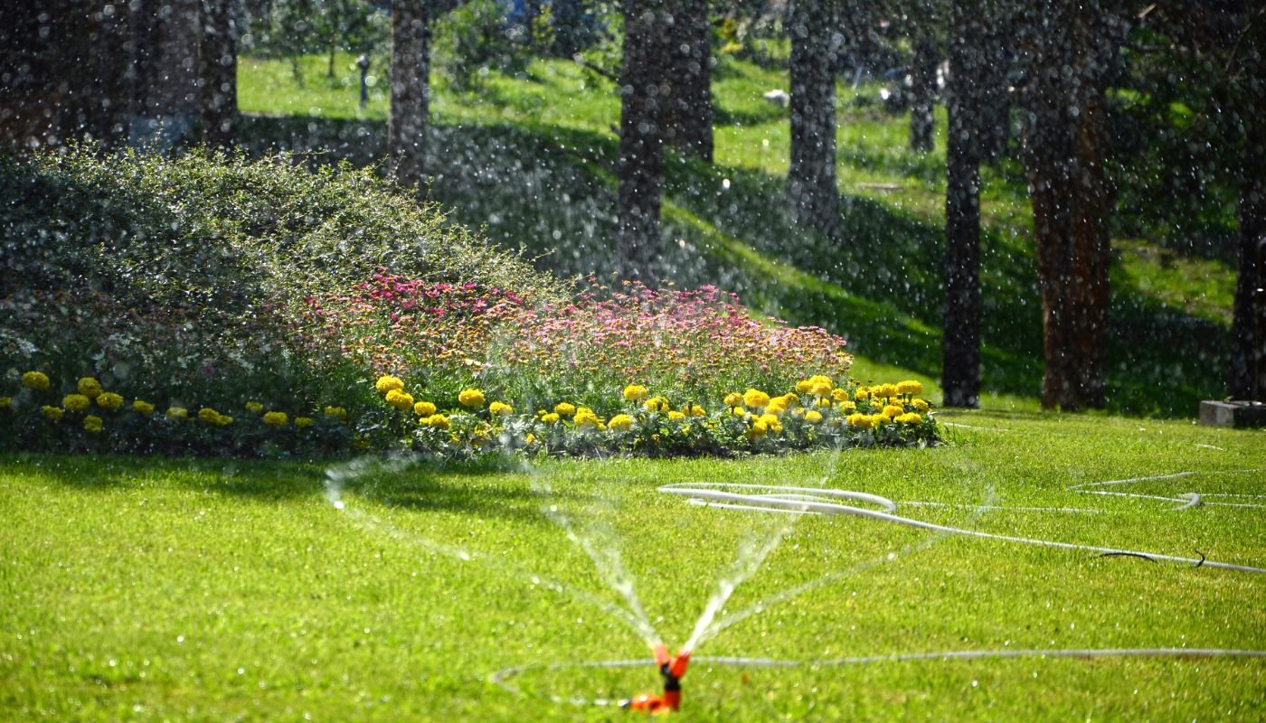 Agosto: i lavori da fare in giardino